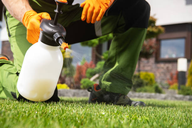 Best Best Pest Control Companies  in Anna, IL