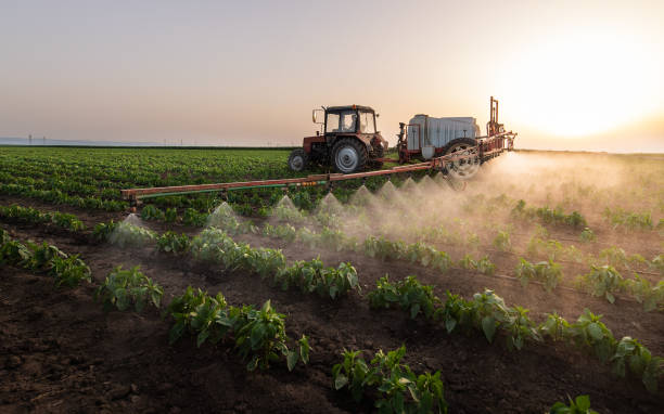 Pest Control Cost in Anna, IL