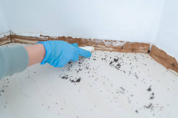 Best Commercial Pest Control Services  in Anna, IL
